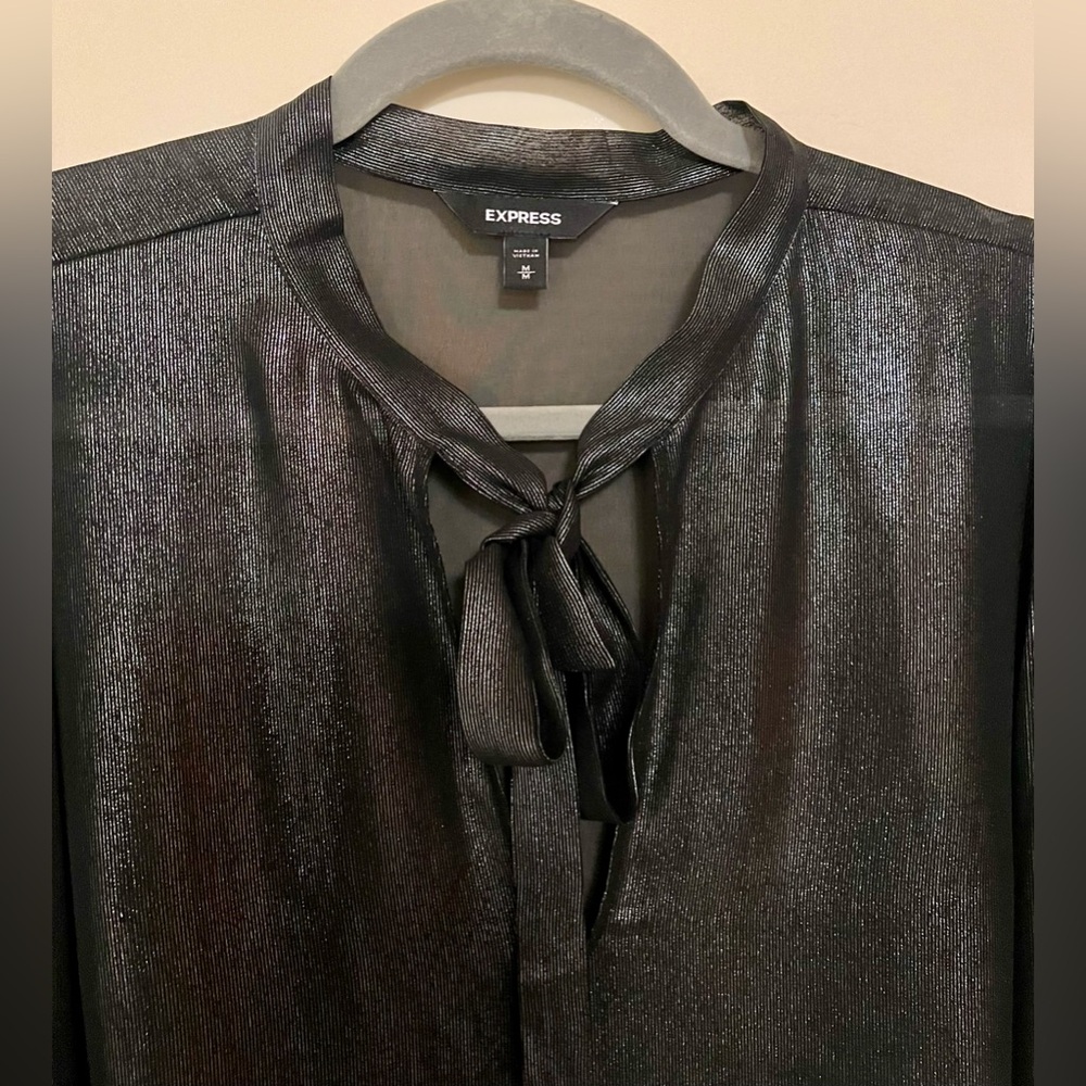 Shiny Sheer Top